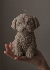 shih-tzu maltese dog candle beige