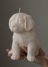 white labrador golden retriever puppy dog candle