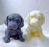 Cute Puppy Dog Candle Beagle Labrador