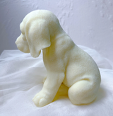 Cute Puppy Dog Candle Beagle Labrador