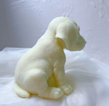 Cute Puppy Dog Candle Beagle Labrador