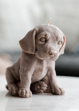 Cute Puppy Dog Candle Beagle Labrador