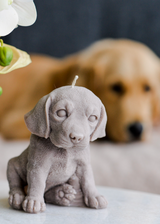 Cute Puppy Dog Candle Beagle Labrador