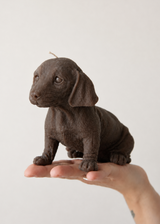Dachshund Dog Candle