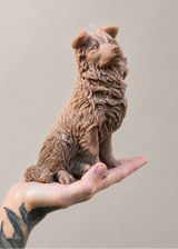 border collie dog candle brown