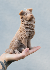 border collie dog candle 