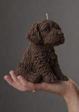 chocolate labradoodle dog candle