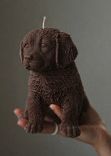chocolate brown labrador golden retriever dog candle