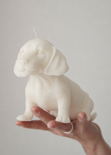 Dachshund Dog Candle white