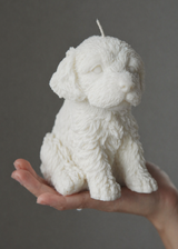 white labradoodle puppy candle