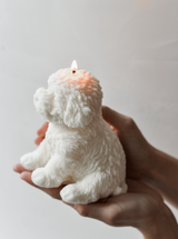 Cute Puppy Dog Cavoodle Candle | Gift for Dog owners & lovers