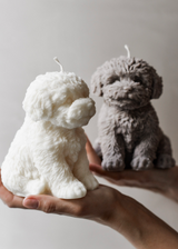 Cute Puppy Dog Cavoodle Candle | Gift for Dog owners & lovers