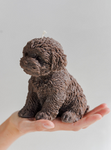 Cute Puppy Dog Cavoodle Candle | Gift for Dog owners & lovers