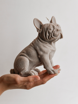 Cute Puppy Dog French Bulldog Candle | Gift for Dog owners