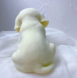 Cute Puppy Dog Candle Beagle Labrador