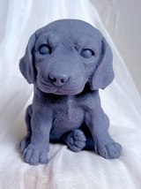 Cute Black Puppy Dog Candle Beagle Labrador